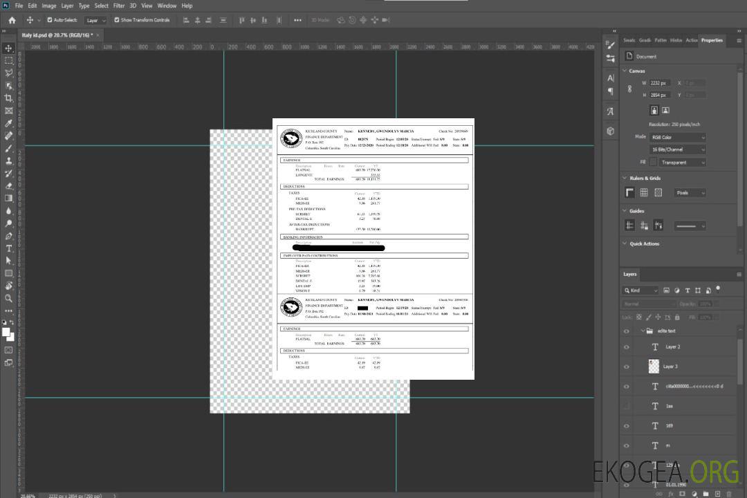 Bulletin de paie du département des finances du comté de Richland template Bulletin de paie du département des finances du comté de Richland template
